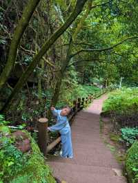 帶娃吸氧去!成都1.5h直達的森林徒步路線