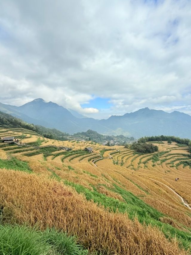 看日出雲海、逛古寨，拍照拍到內存滿