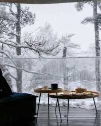 廬山霧淞仙境！這家百年別墅酒店封神了