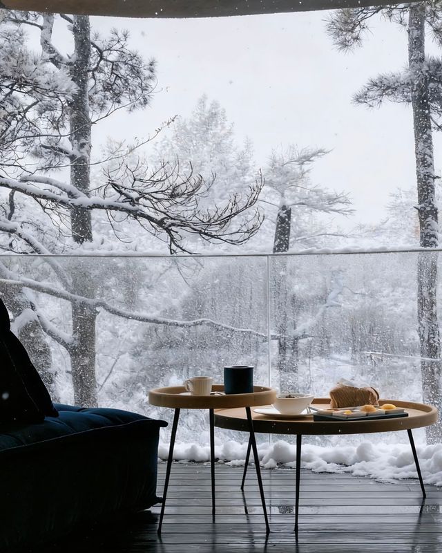 廬山霧淞仙境！這家百年別墅酒店封神了