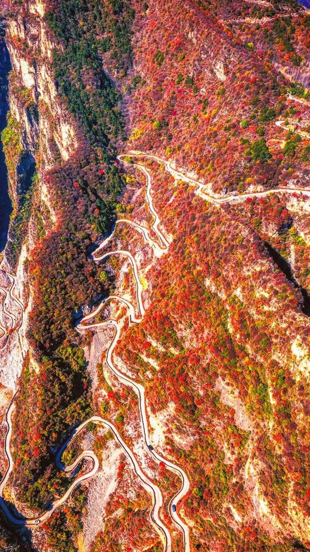 北京人的最愛，南太行的最美--秋日限定色！