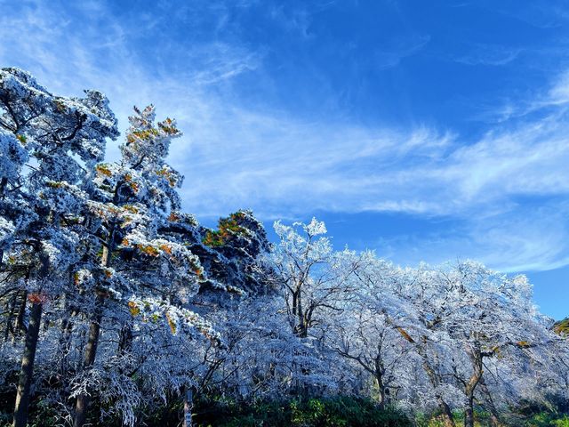 秋日必爬黃山絕美路線