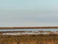 走進一片世外桃源~東灘濕地好美