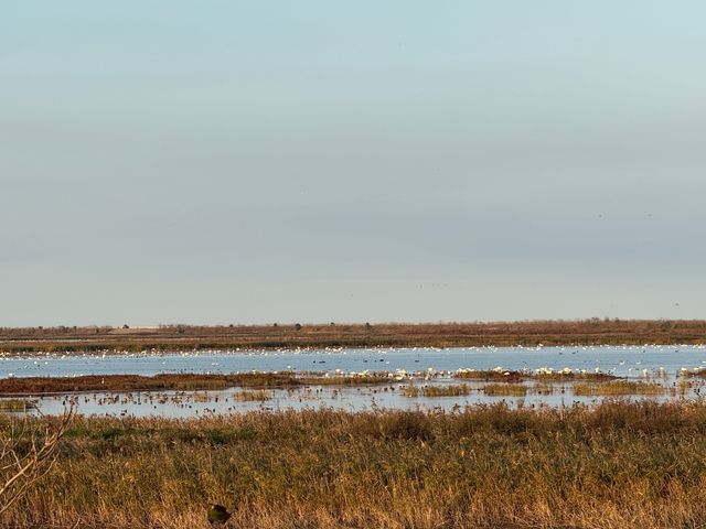 走進一片世外桃源~東灘濕地好美 走進一片世外桃源~東灘濕地好美