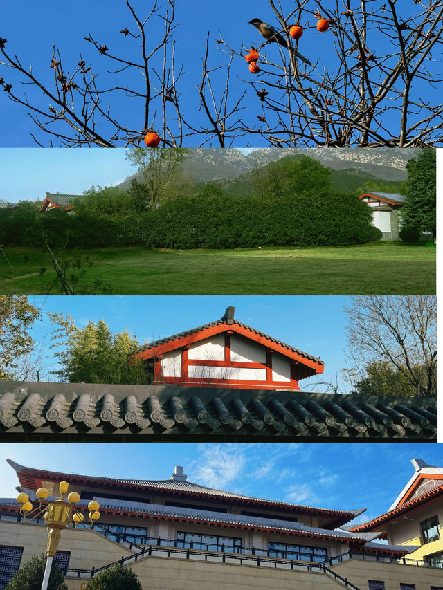 逃離鄭州天花板!登封24小時治癒之旅 逃離鄭州天花板!登封24小時治癒之旅