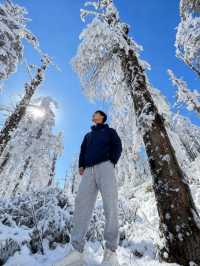 瓦屋山雪已就位！成都自駕3h直達的冰雪快樂，霧淞、冰瀑、滑雪全拿捏，新手閉眼衝的攻略整理好啦，趕緊碼