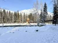 自駕新疆｜凜冬之際，與喀納斯的一場邂逅～