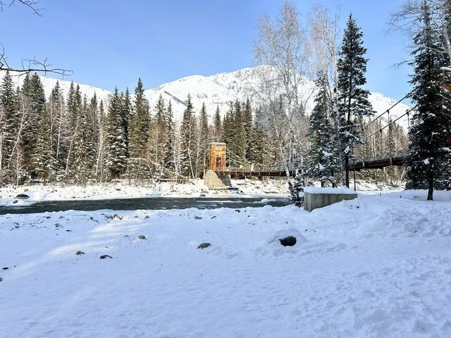 自駕新疆｜凜冬之際，與喀納斯的一場邂逅～