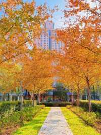 上海的秋日藝術巡禮