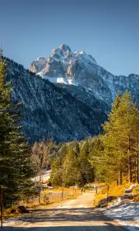 我在慕尼黑南郊找到德國雪景天花板！