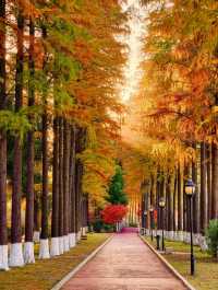 秋色滿園絕美倒映