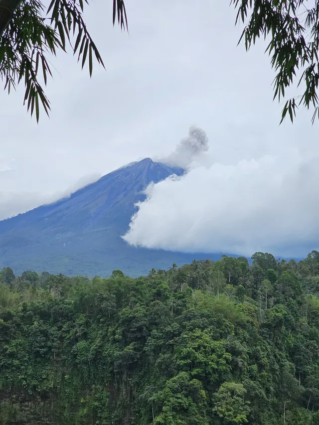 藍棉瀑布 火山雲海與雨林瀑布 被真誠打動 藍棉瀑布 火山雲海與雨林瀑布 被真誠打動