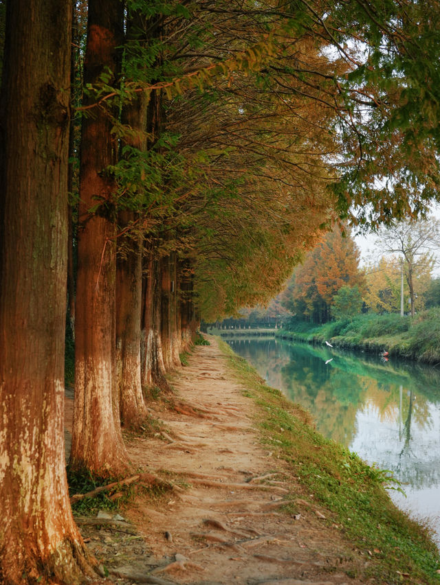 成都市區免費公園 | 升仙湖Citywalk