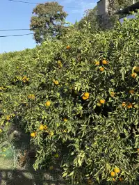 當年睡甲板如今高鐵直達，我的三峽永遠在！