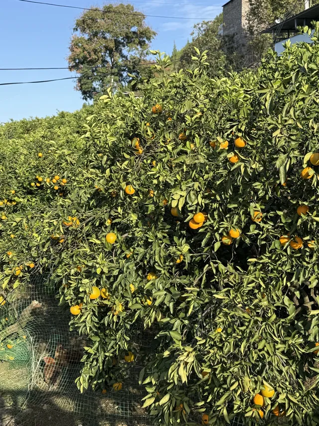 當年睡甲板如今高鐵直達，我的三峽永遠在！