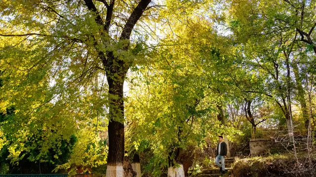 西藏小眾出片地羅布林卡 | 西藏版頤和園