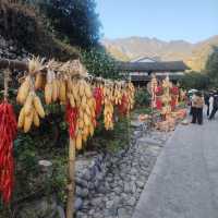 黃南林坑古村落｜藏著一整個絕美曬秋畫卷！