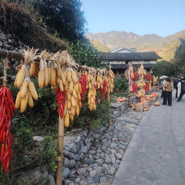 黃南林坑古村落｜藏著一整個絕美曬秋畫卷！