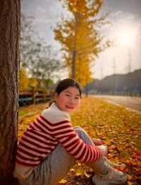 崇明島明珠湖｜秋日私藏的金色童話秘境！