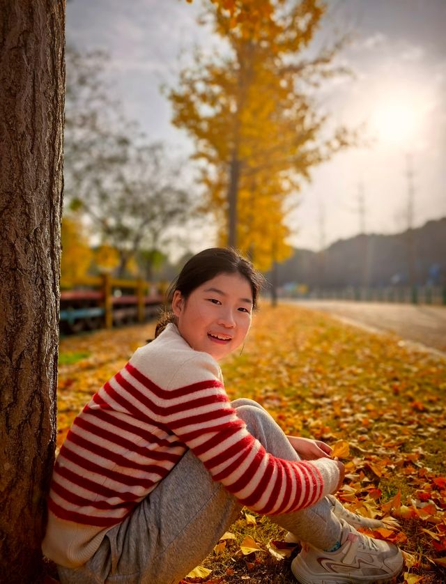 崇明島明珠湖｜秋日私藏的金色童話秘境！