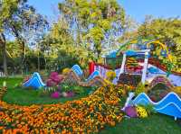 共青森林公園菊花展美翻啦