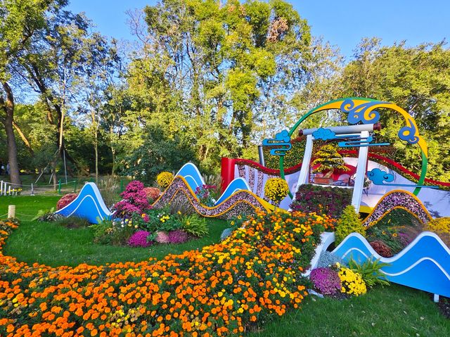 共青森林公園菊花展美翻啦 共青森林公園菊花展美翻啦