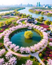 魔都版莫奈花園打卡|四季皆美,打卡不踩雷