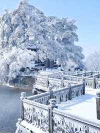 南方小夥伴12月都去廬山看雪2天1夜最全攻略!