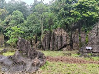 湘西地質公園・紅石林