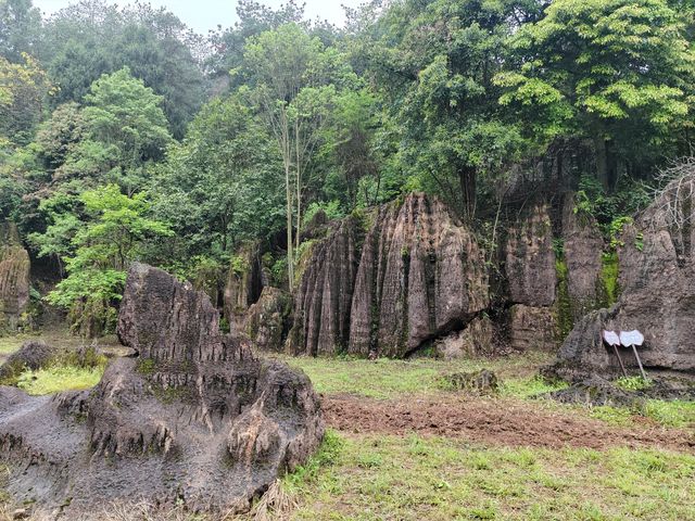 湘西地質公園.紅石林 湘西地質公園.紅石林