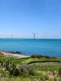 路的盡頭是海,但自由沒有盡頭