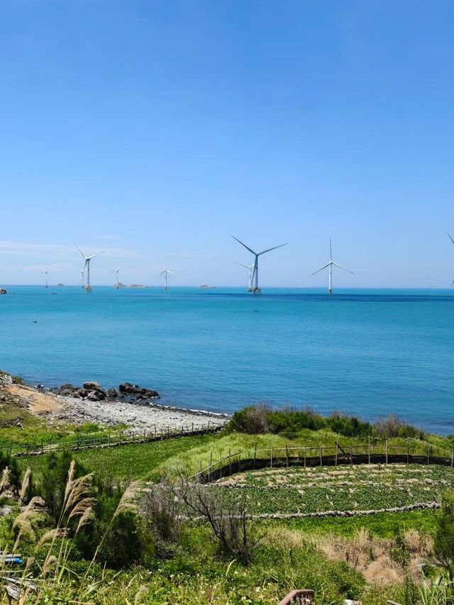 路的盡頭是海,但自由沒有盡頭 路的盡頭是海,但自由沒有盡頭