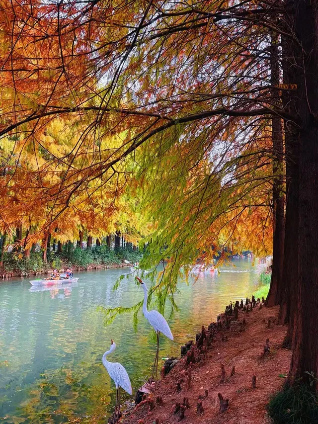 秋冬限定，蘇州這裡美哭了！！