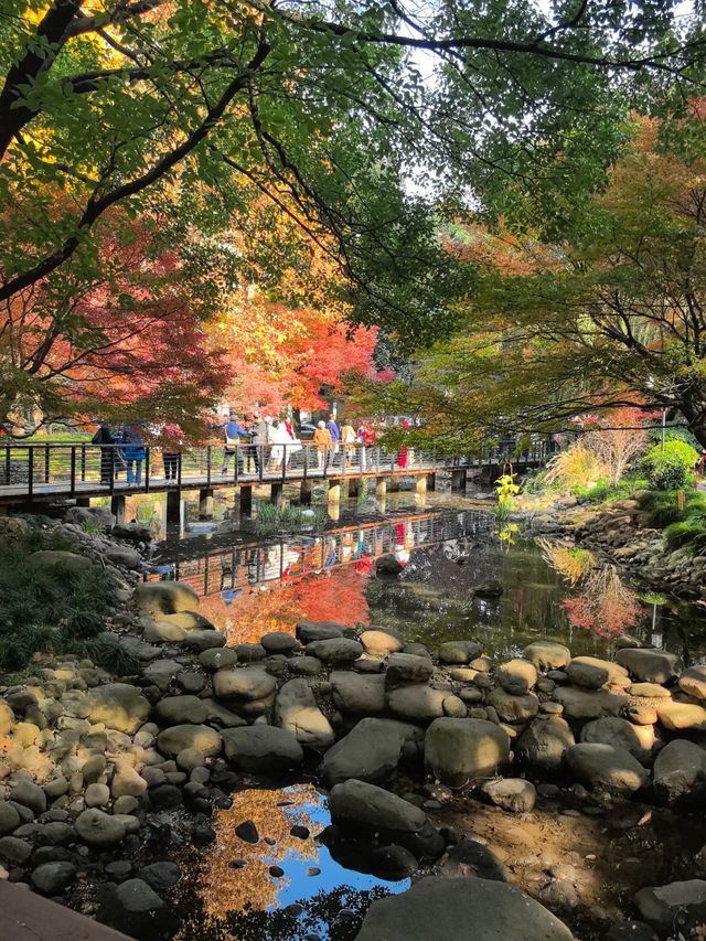 申城賞秋正當時 申城賞秋正當時