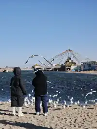 藍色跟青海湖更配!