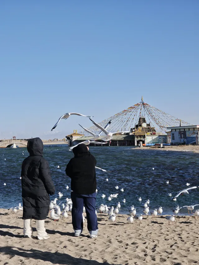 藍色跟青海湖更配! 藍色跟青海湖更配!