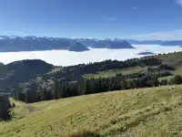 誰說rigi山一般啊，rigi山可太不一般啦