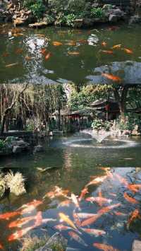 廣州周邊遊,順德的「清暉園」