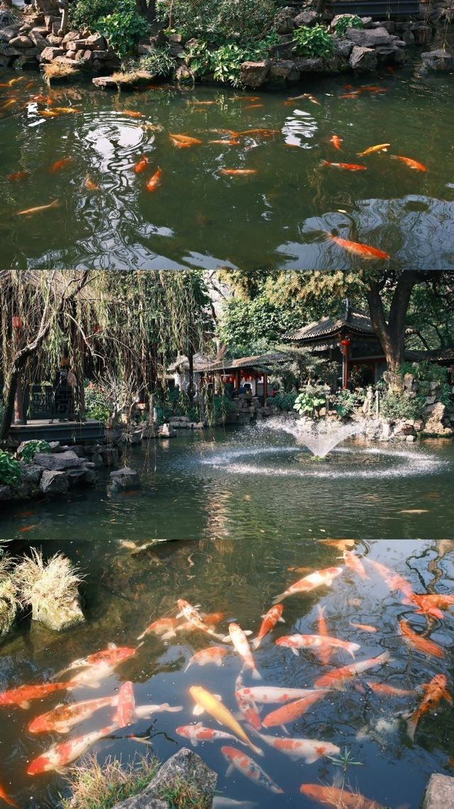 廣州周邊遊,順德的「清暉園」 廣州周邊遊,順德的「清暉園」