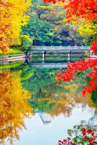 上海魔都秋日封神0元拍出國風大片