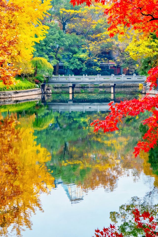 上海魔都秋日封神0元拍出國風大片