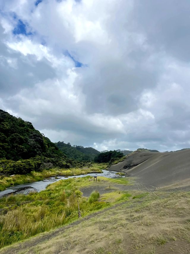 奧克蘭黑沙坡樂園,隱藏寶藏驚艷遊客 奧克蘭黑沙坡樂園,隱藏寶藏驚艷遊客