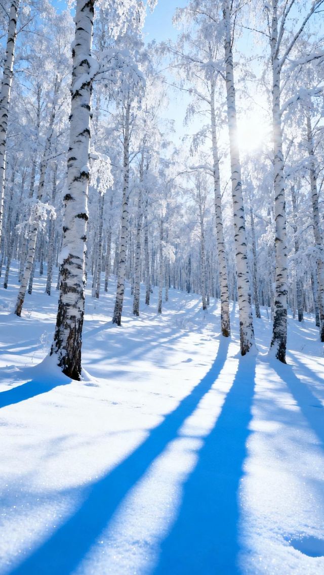 別再只知道去雪鄉了!漠河的冬天,滿足你對童話的所有幻想 別再只知道去雪鄉了!漠河的冬天,滿足你對童話的所有幻想