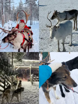 北歐四國|冰島+芬蘭+瑞典+挪威13日極光團