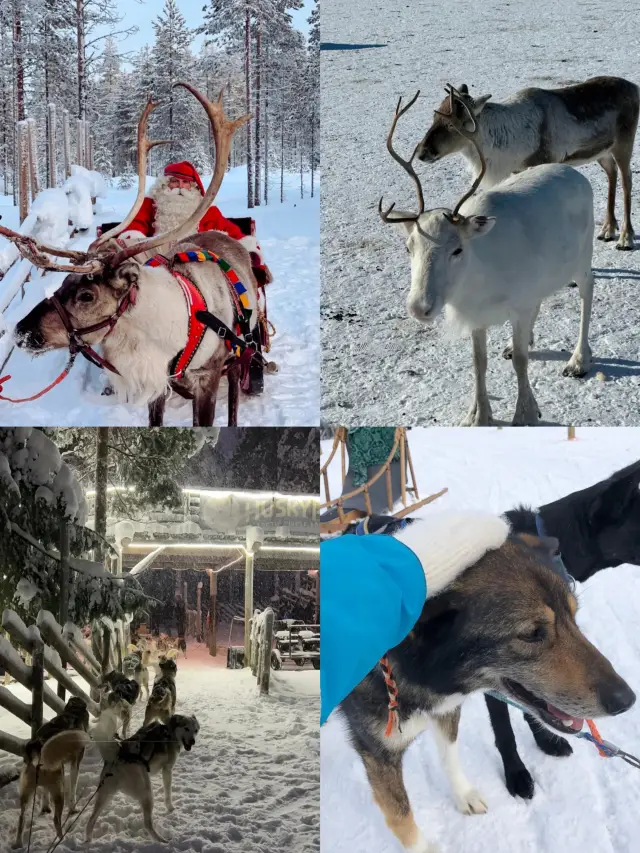 Nordic Countries | 13-Day Aurora Tour of Iceland, Finland, Sweden, and Norway