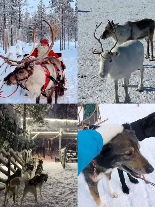 北歐四國|冰島+芬蘭+瑞典+挪威13日極光團 北歐四國|冰島+芬蘭+瑞典+挪威13日極光團