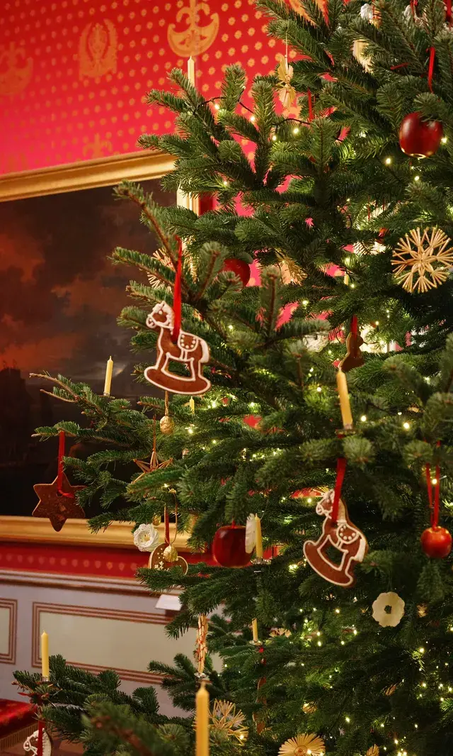 愛在維也納|聖誕前 愛在維也納|聖誕前