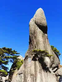 12.7週末黃山人潮擁擠