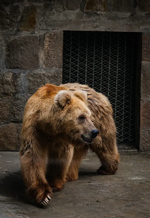 上海動物園‖動物攝影師的天堂 上海動物園‖動物攝影師的天堂