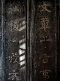 在太原晉祠，觸摸到了三千年的西周柏樹